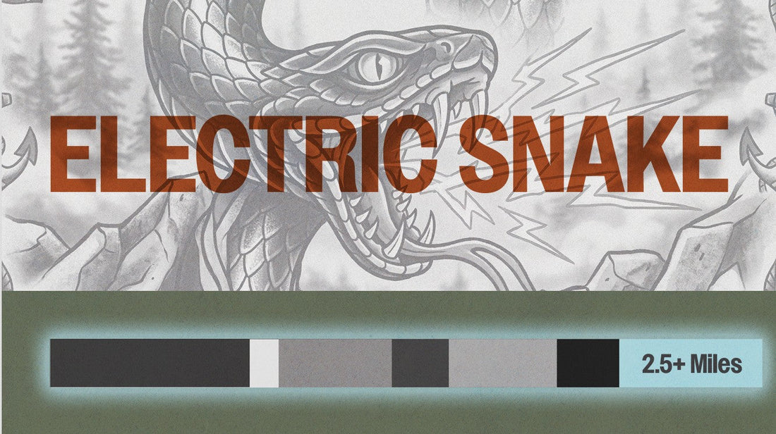THE FUTURE OF THE TILLAMOOK: ELECTRIC SNAKE AND THE WTF EXPANSION