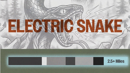 THE FUTURE OF THE TILLAMOOK: ELECTRIC SNAKE AND THE WTF EXPANSION